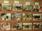 Swartberg Farmers Association sale images over the years (3)