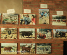 Swartberg Farmers Association sale images over the years (4)