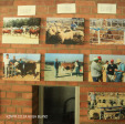 Swartberg Farmers Association sale images over the years (6)