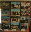 Swartberg Farmers Association sale images over the years (7)