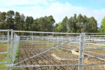 Swartberg Farmers Association sale yards (2)