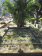 Sydenham St John with St Raphael grave  unmarked