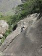 tendele-gorge-walk-ladder-2