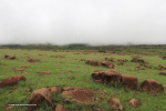 Holkrans-lower-slopes-overlooking-laager-4