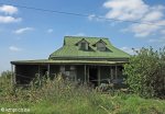 Thornville -  Green House - off D 547 - 29.44.06 E 30.23.04 Elev 924m (1)