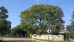 Thornville Village (4.) (2)