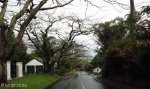 tongaat-amanzinyama-local-roads-2
