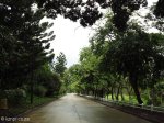 tongaat-amanzinyama-local-roads-4