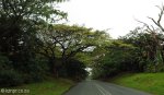 tongaat-amanzinyama-local-roads-5