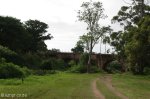 tongaat-old-rail-bridge-10-tesco-drive-s-29-33-995-e-31-07-019-elev-23m