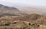 Middledrift & Tugela views - 28.53.714 S 31.01.324 E (12)