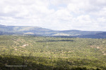 Valley-of-Kings-valley-views15chivero