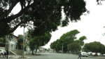 durban-cnr-umbilo-myrtle-1