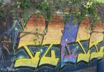 umbilo-244-umbilo-essex-derelict-house-s29-51-937-e31-00-020-elev-23m-15