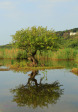 Illovo River Picnic site - S 30.06.396 E 30.50 (7)