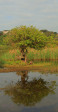 Illovo River Picnic site - S 30.06.396 E 30.50 (9)