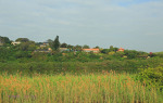 Illovo River -  South Bank homes (2)