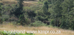 Inchanga-station-and-steam-railway-2