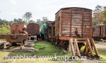 Inchanga-station-and-steam-railway-3