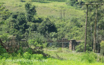 Umgeni Steam Railway  Inchanga station. (2)