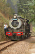 Umgeni Steam Railway Wesley Loco No 2685 at Inchanga station. (1)