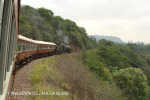 Umgeni Steam Railway en route to Inchanga (1)