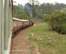 Umgeni Steam Railway en route to Inchanga (12)