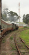 Umgeni Steam Railway en route to Inchanga (5)
