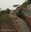 Umgeni Steam Railway en route to Kloof (2)
