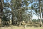 mhlabathini-impumulelo-catholic-school-1943-s28-13-29-e31-28-25-2