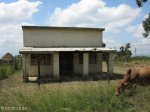 umhlabathini-mashona-trading-store-s-28-13-51-e-31-28-13-elev-815m
