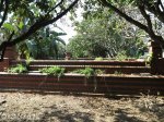 Umhlali Cemetery - Wall of Rememberance - Old Church Foundations (1)