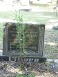 Umhlali Cemetery - grave -  B Betsy Viljoen 2002