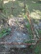 Umhlali Cemetery - grave -  unknown