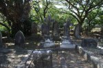 umhlali-methodist-cemetary-general-view-tomstones-4
