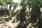 umhlali-methodist-cemetary-gifford-family-3