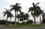 Umhlanga Ridgeside  views - Nov 2013  (2)