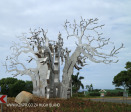 Izinga Ridge entrance Baobab (3)