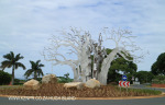 Izinga Ridge entrance Baobab (4)
