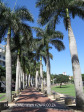 Uhlanga New Town - Palm Boulevard (5)