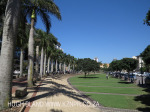Uhlanga New Town - Palm Boulevard (6)