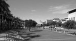 Umhlanga New Town Centre - Palm Boulevard - December 2014 (2)