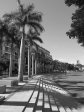 Umhlanga New Town Centre - Palm Boulevard - December 2014 (4)