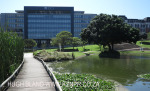 Umhlanga New Town - Chris Saunders Park surrounds (20)