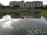Umhlanga New Town - Douglas Saunders Park - reflections (2)