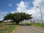 Umhlanga New Town centre - Oct 2014 - Central Boulavard Road between Meridian & Herrewood Drive  (4)
