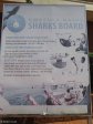 Umhlanga New Town centre - Oct 2014 - - Sharks Board - Herrewood Drive (1)