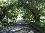 umhlanga-new-town-centenary-boulevard-30