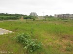umhlanga-new-town-centre-umhlanga-ridge-boulevard-views-open-space-2_0