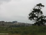 umhlanga-new-town-centre-umhlanga-ridge-boulevard-views-open-space-4